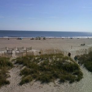 Meet your Posher, Kym